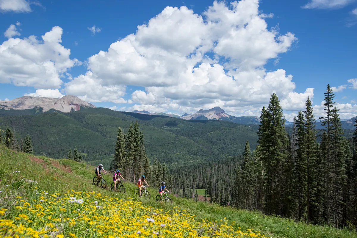 A summer mountain landscape with vibrant wildflowers in the foreground, mountain bikers on a trail, and expansive blue skies above. The scene radiates a sense of adventure and natural beauty, inviting outdoor exploration.